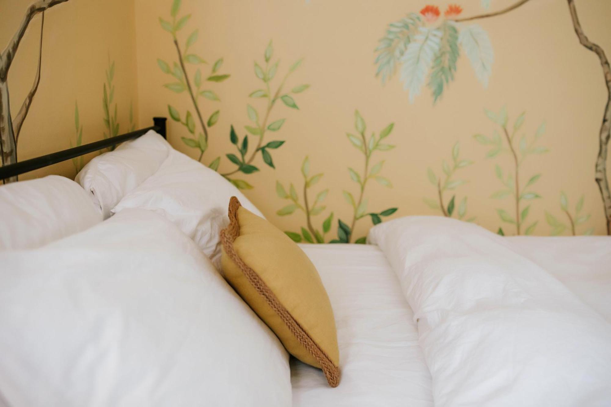 Cozy Cottage - Walk To Campus, Stadium, Downtown Atenas Exterior foto
